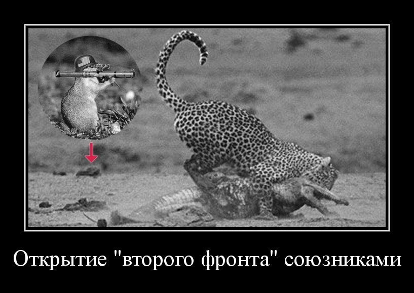 Открытие Открытие
